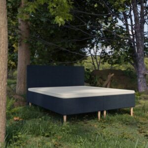 Organic Boxmadras med Latex + Topmadras i 100% Naturlatex og Bomuldsbetræk Fra Organic Sleep | 7 Zoner - Omega Blå